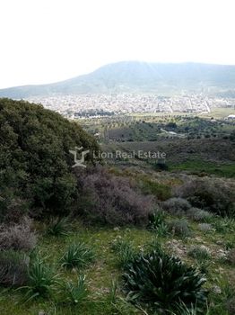 Αγροτεμάχια 6.200τ.μ. για πώληση-Κουβαράς » Νέος κουβαράς