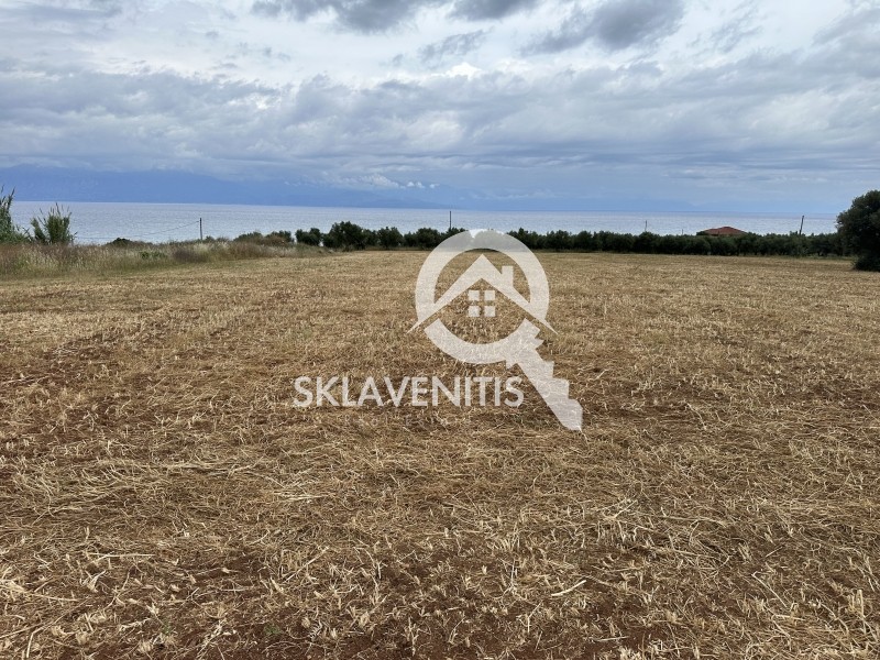 Αγροτεμάχια 29.646 τ.μ. πρός πώληση, Μεσσηνία, Πεταλίδι