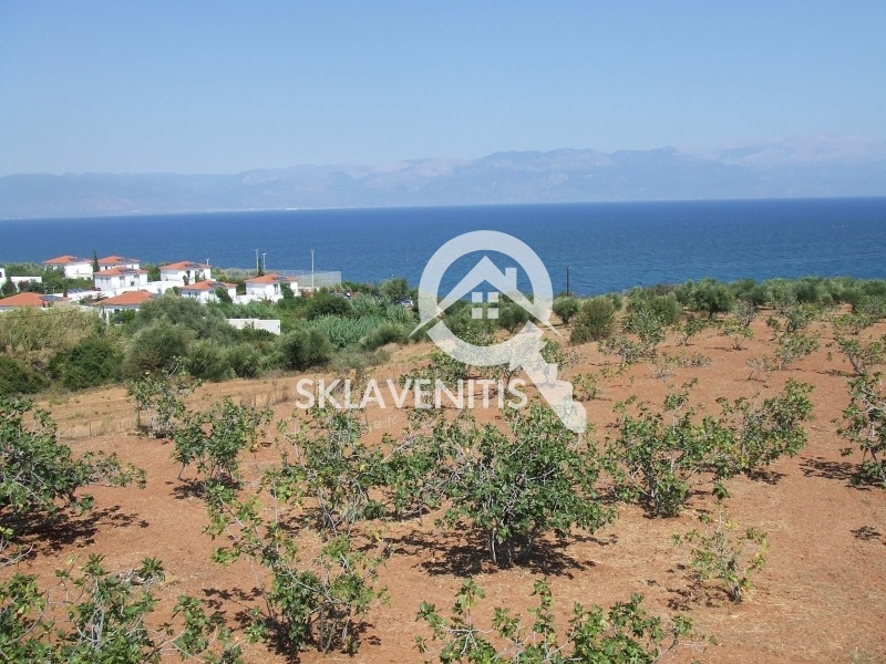Αγροτεμάχια 29.646 τ.μ. πρός πώληση, Μεσσηνία, Πεταλίδι