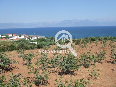 Αγροτεμάχια 29.646τ.μ. για πώληση-Πεταλίδι » Αχλαδοχώρι