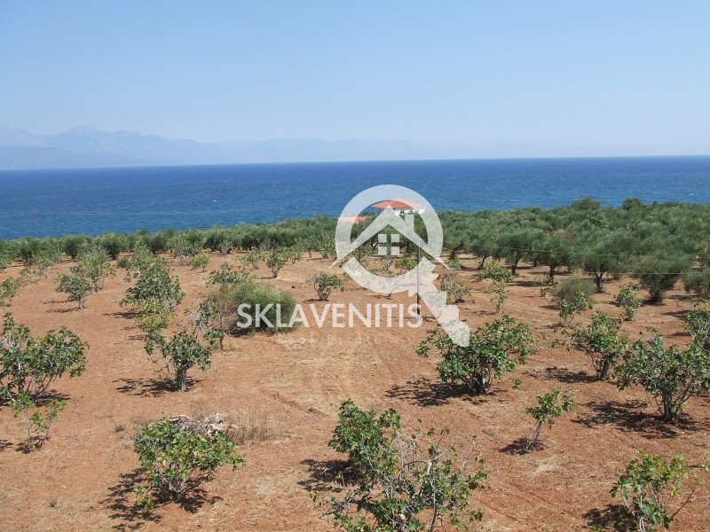 Αγροτεμάχια 29.646 τ.μ. πρός πώληση, Μεσσηνία, Πεταλίδι