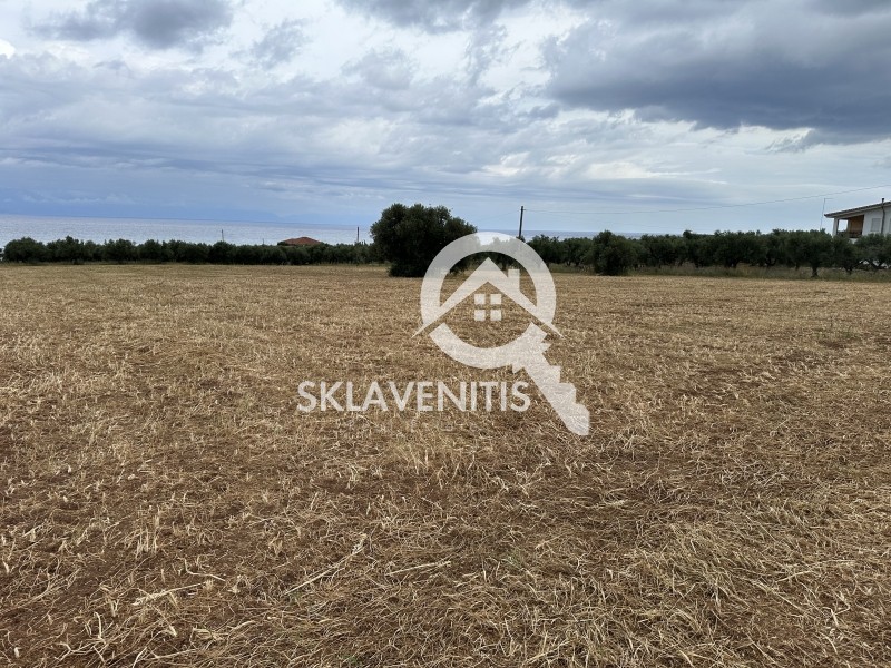 Αγροτεμάχια 29.646 τ.μ. πρός πώληση, Μεσσηνία, Πεταλίδι