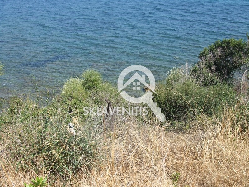 Αγροτεμάχια 29.646 τ.μ. πρός πώληση, Μεσσηνία, Πεταλίδι