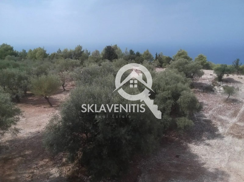 Αγροτεμάχια 10.000 τ.μ. πρός πώληση, Ν. Λευκάδας, Λευκάδα