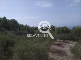 Αγροτεμάχια 10.000 τ.μ. πρός πώληση, Ν. Λευκάδας, Λευκάδα-thumb-5
