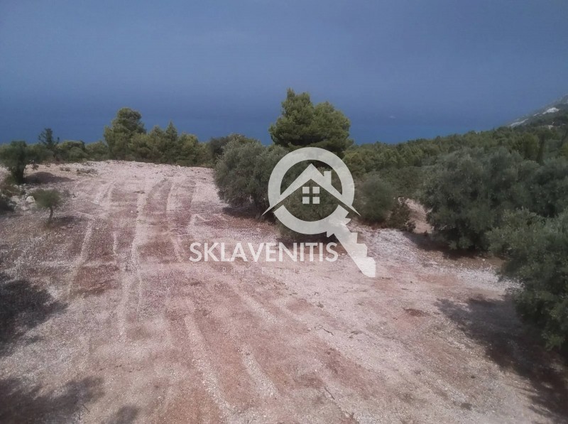Αγροτεμάχια 10.000 τ.μ. πρός πώληση, Ν. Λευκάδας, Λευκάδα