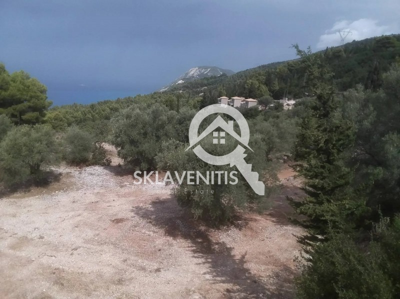 Αγροτεμάχια 10.000 τ.μ. πρός πώληση, Ν. Λευκάδας, Λευκάδα