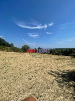 Αγροτεμάχια 11.152τ.μ. για πώληση-Κασσάνδρα » Κασσάνδρεια