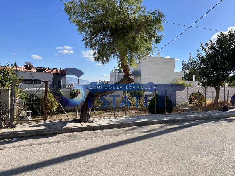 Οικόπεδο 187,50 τ.μ. προς πώληση, Άγιος Τρύφωνας