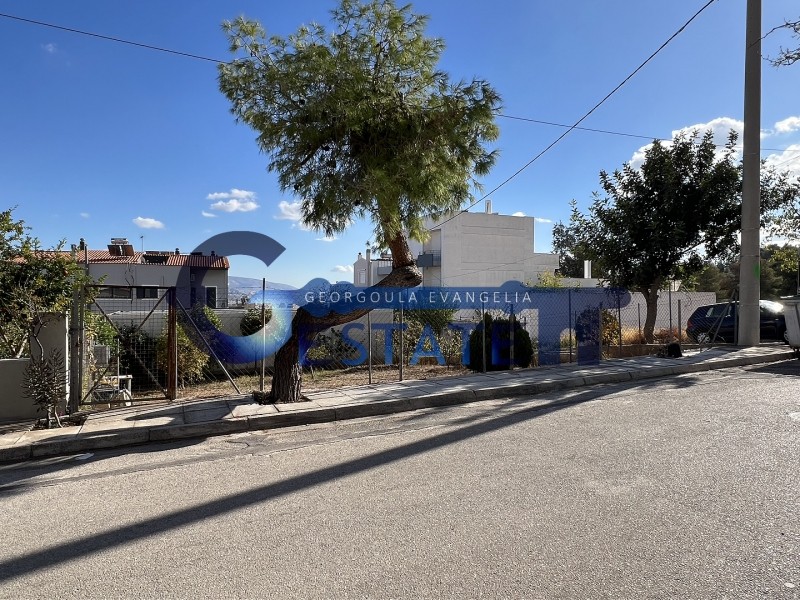 Οικόπεδο 187,50 τ.μ. προς πώληση, Άγιος Τρύφωνας