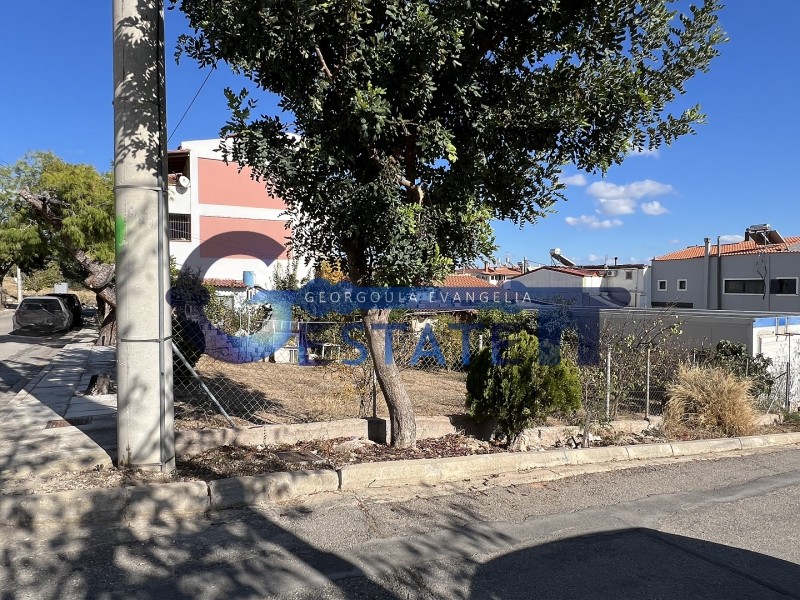 Οικόπεδο 187,50 τ.μ. προς πώληση, Άγιος Τρύφωνας