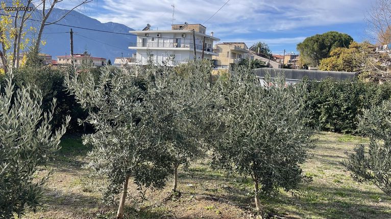 Μονοκατοικία 103 τ.μ. για πώληση, Φθιώτιδας, Λαμία