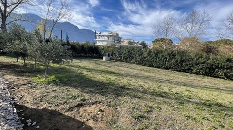 Land plot 1.000sqm for sale-Lamia