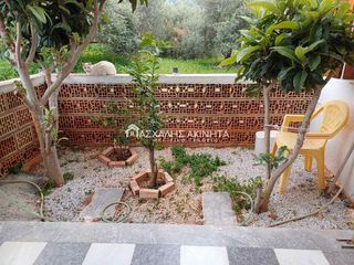 Κτίριο 232 τ.μ. προς πώληση, Σίσι-thumb-29