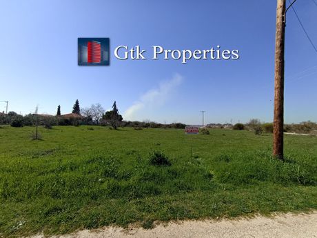 Αγροτεμάχια 4.260 τ.μ. προς πώληση