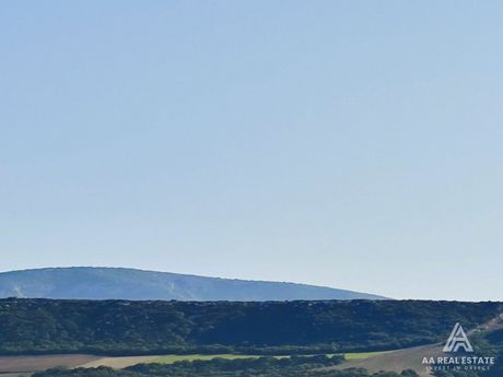 Parcel 14.790sqm for sale-Kallikrateia » Nea Gonia