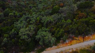 Αγροτεμάχια 4.078 τ.μ. για πώληση, Ν. Λευκάδας, Λευκάδα-thumb-13