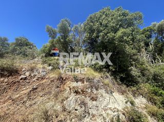 Αγροτεμάχια 4.078 τ.μ. για πώληση, Ν. Λευκάδας, Λευκάδα-thumb-11