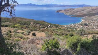 Οικόπεδο 9.495 τ.μ. για πώληση, Εύβοια, Στύρα-thumb-5