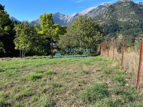 Land plot 527sqm for sale-Kalavrita » Ano Vlasia