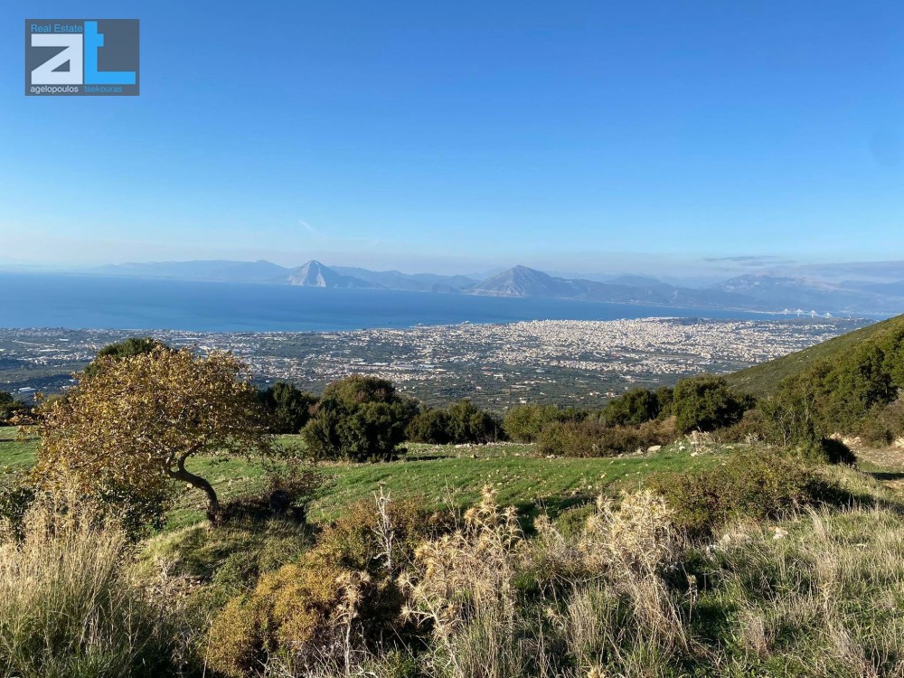 Οικόπεδο 6.100 τ.μ. για πώληση, Αχαΐα, Μεσσατίδα