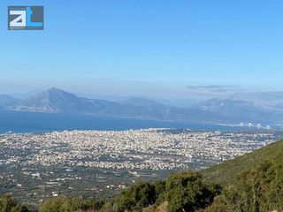 Οικόπεδο 6.100 τ.μ. για πώληση, Αχαΐα, Μεσσατίδα-thumb-4