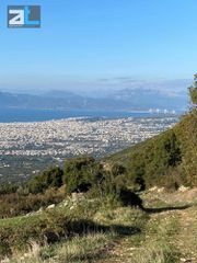 Οικόπεδο 6.100 τ.μ. για πώληση, Αχαΐα, Μεσσατίδα-thumb-1