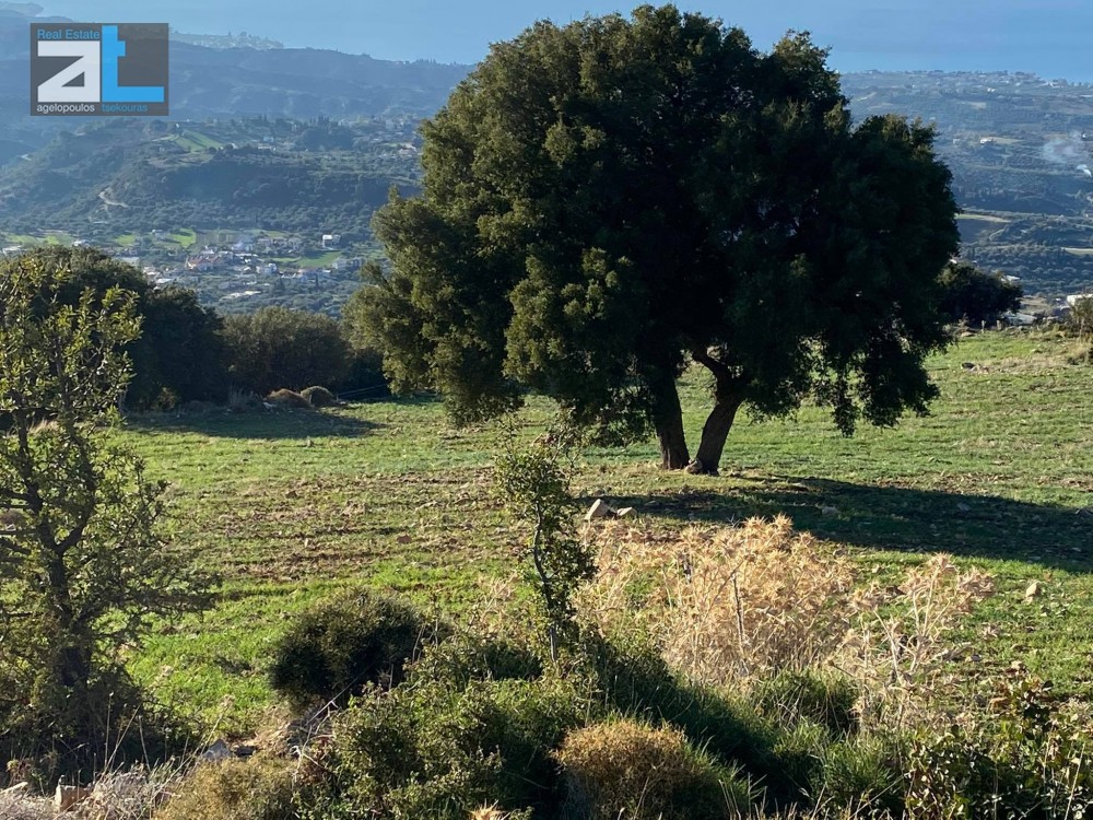 Land plot 6.100 sqm for sale, Achaia, Messatida