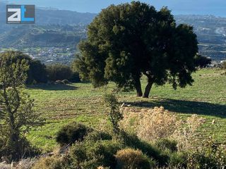 Οικόπεδο 6.100 τ.μ. για πώληση, Αχαΐα, Μεσσατίδα-thumb-2