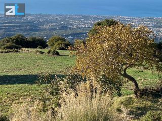 Οικόπεδο 6.100 τ.μ. για πώληση, Αχαΐα, Μεσσατίδα-thumb-9