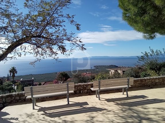 Οικόπεδο 800 τ.μ. για πώληση, Μεσσηνία, Λεύκτρος