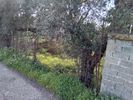 Οικόπεδο 425τ.μ. για πώληση-Καλαμάτα » Νικηταράς