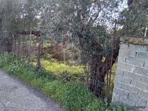 Land plot 425 sqm for sale, Messinia, Kalamata