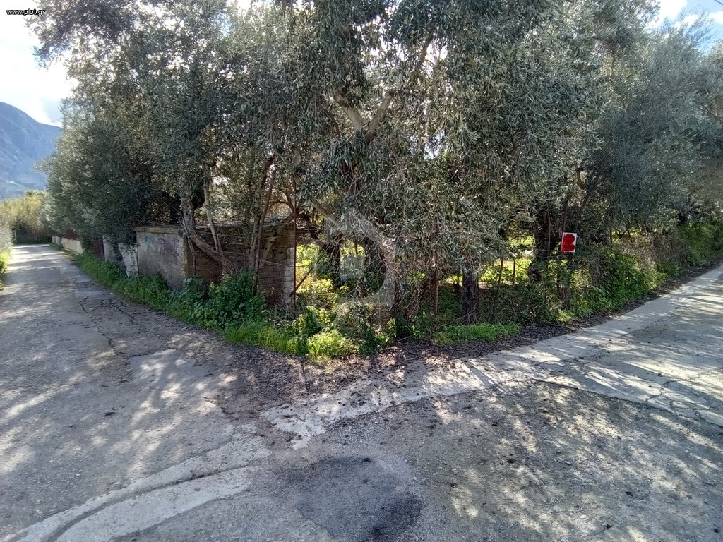 Land plot 425 sqm for sale, Messinia, Kalamata