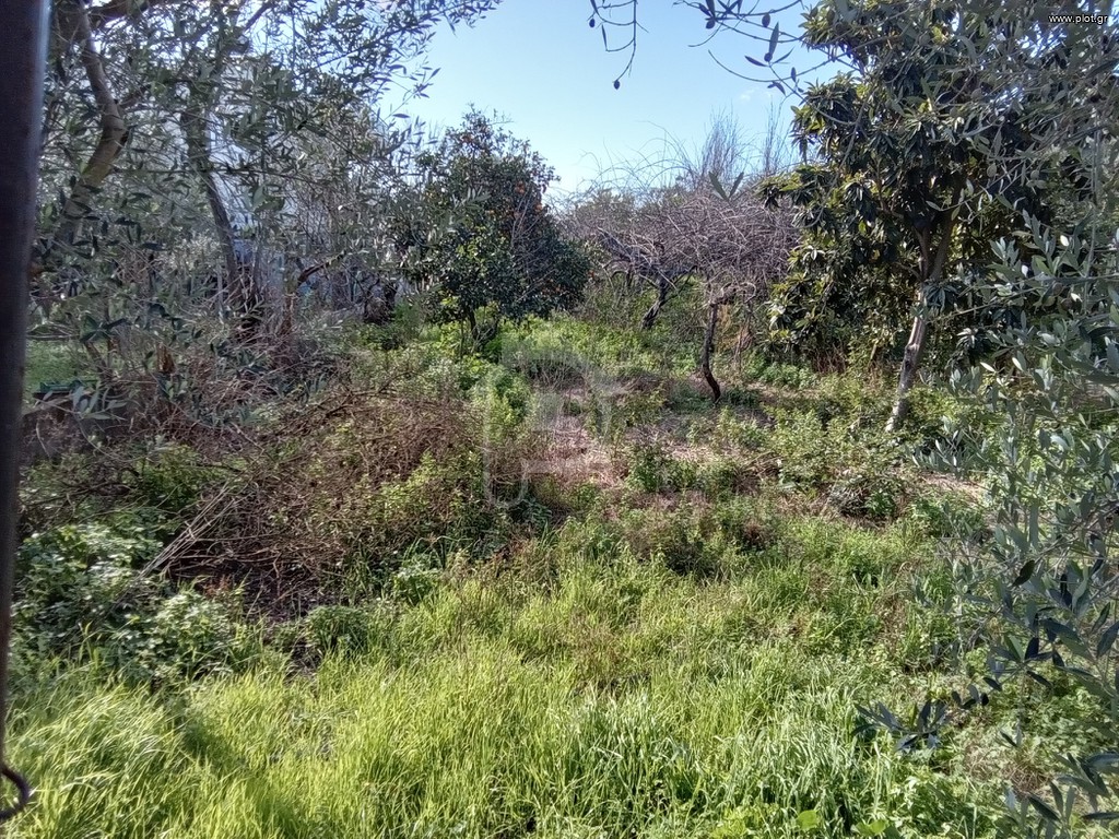 Land plot 425 sqm for sale, Messinia, Kalamata