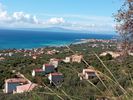 Οικόπεδο 10.700τ.μ. για πώληση-Λεύκτρος » Κοτρώνι