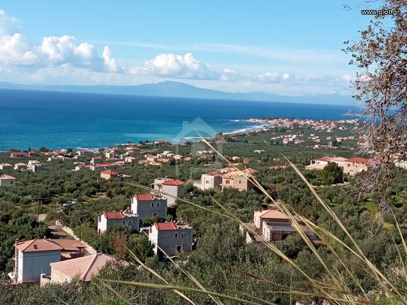 Οικόπεδο 10.700 τ.μ. για πώληση, Μεσσηνία, Λεύκτρος