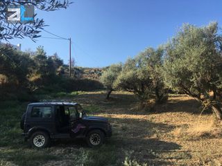 Οικόπεδο 4.800 τ.μ. για πώληση, Αχαΐα, Ρίο-thumb-1