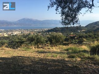 Οικόπεδο 4.800 τ.μ. για πώληση