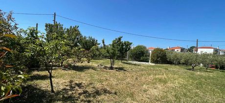Land plot 1.200sqm for sale-Alexandroupoli » Makri