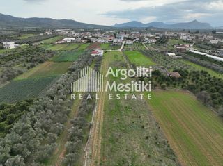 Οικόπεδο 4.109 τ.μ. για πώληση, Αργολίδα, Μιδέα-thumb-5