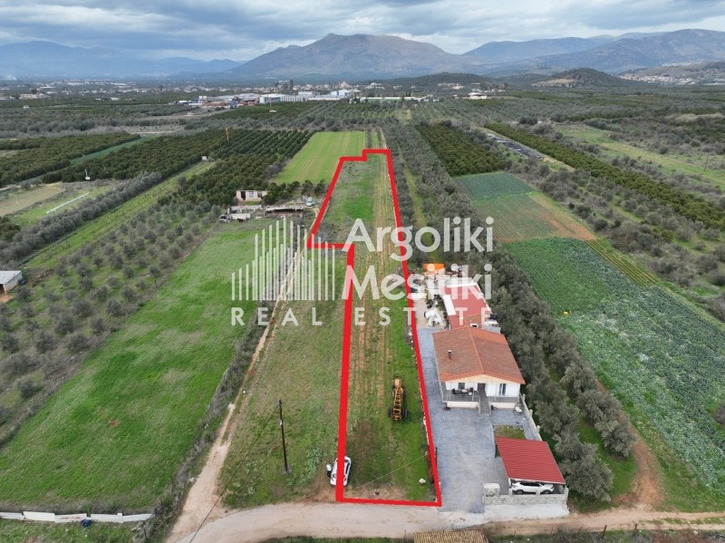 Οικόπεδο 4.109 τ.μ. για πώληση, Αργολίδα, Μιδέα