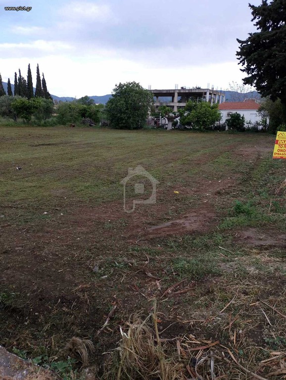 Οικόπεδο 726 τ.μ. πρός πώληση, Αιτωλοακαρνανία, Χάλκεια