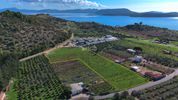 Οικόπεδο 10.783τ.μ. για πώληση-Ερμιόνη
