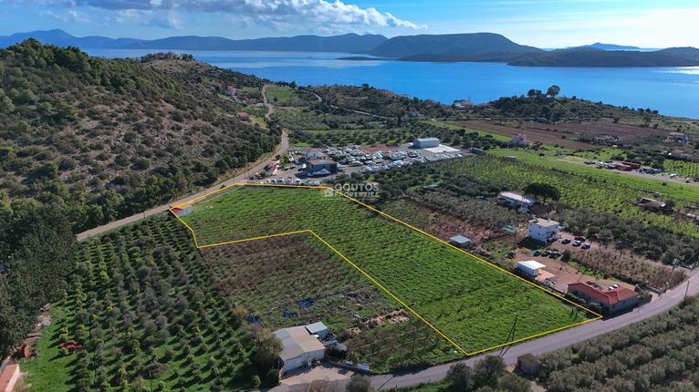 Land plot 10.783 sqm for sale, Argolis, Ermioni