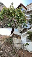 Κλαδέματα δέντρων σε όλη την Αττική.