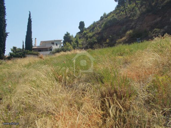 Οικόπεδο 3.000 τ.μ. για πώληση, Αχαΐα, Ακράτα