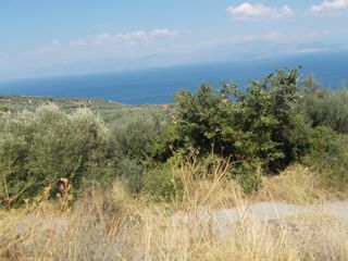 Οικόπεδο 3.000 τ.μ. για πώληση, Αχαΐα, Ακράτα-thumb-1