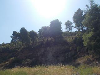 Οικόπεδο 3.000 τ.μ. για πώληση, Αχαΐα, Ακράτα-thumb-2