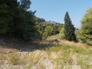 Οικόπεδο 3.000 τ.μ. για πώληση, Αχαΐα, Ακράτα-thumb-3